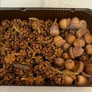 ☘️ $12bundle Decorative Acorns and Small Dried Seed Cones